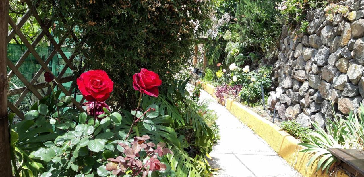 Villa El Manantial Vega de San Mateo Zewnętrze zdjęcie